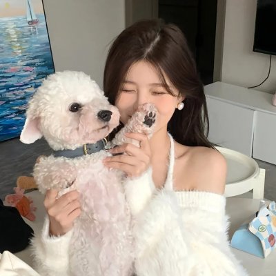 困惑的浪漫 高清封面